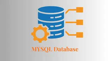 My-SQL Database